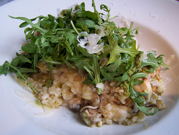 risotto met portabella, blauwe kaas en walnoten