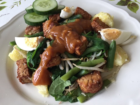 VEGETARISCH RECEPT: GADO GADO MET TEMPÉ